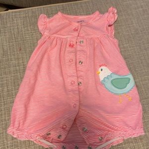 Chicken shorts bubble